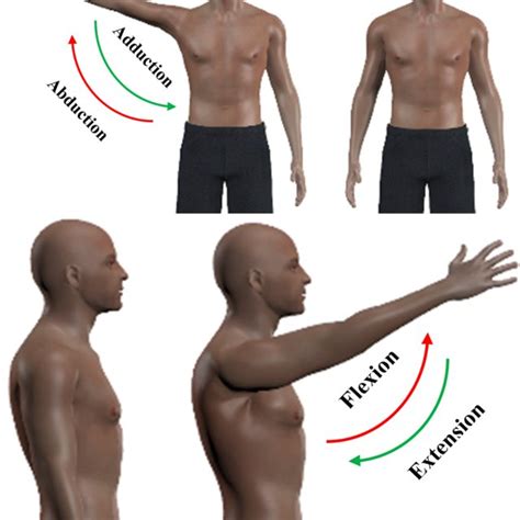 Shoulder Flexion. The basic range of motion exercise for shoulder flexion involves raising the arm above the head. Stand with your feet hip-width apart and arms at your side. Raise your right arm forward and up above your head until you feel a stretch in your shoulder. Repeat 10 times and repeat with your left arm.